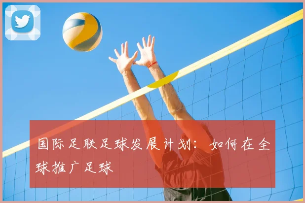 国际足联足球发展计划:如何在全球推广足球