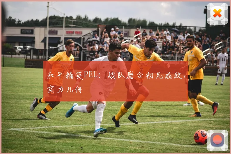 和平精英PEL:战队磨合初见成效,实力几何