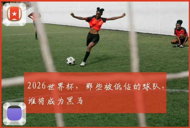 2026世界杯，那些被低估的球队，谁将成为黑马