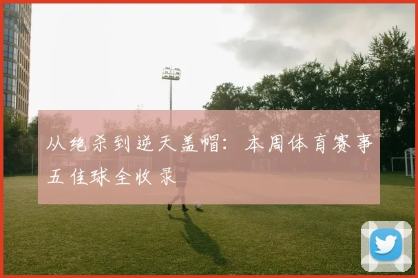 从绝杀到逆天盖帽:本周体育赛事五佳球全收录