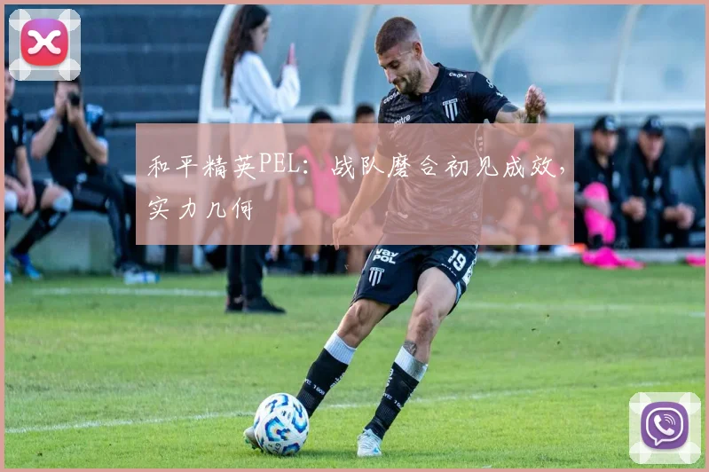 和平精英PEL：战队磨合初见成效，实力几何