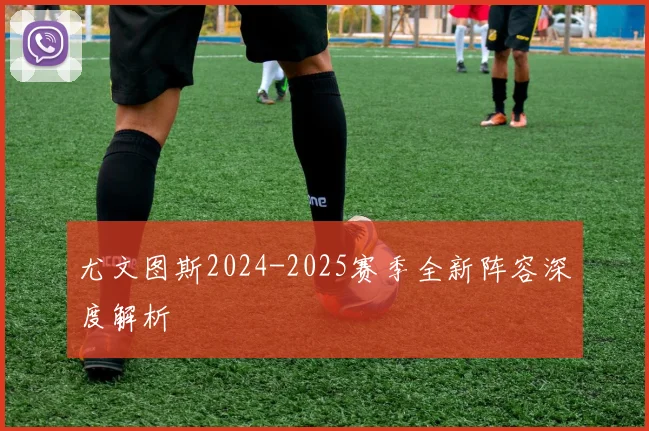尤文图斯2024-2025赛季全新阵容深度解析
