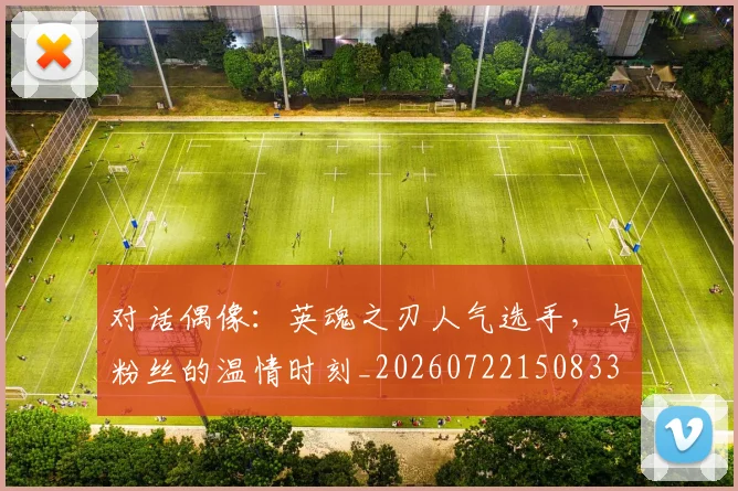 对话偶像：英魂之刃人气选手，与粉丝的温情时刻_20260722150833